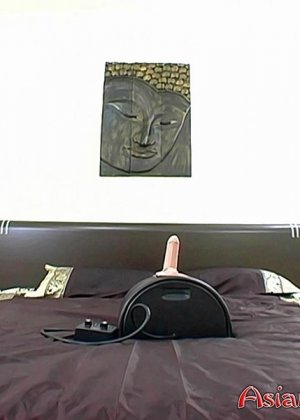 Галерея 3352360