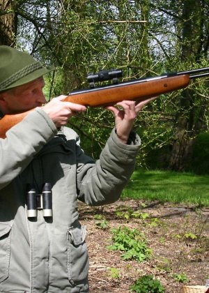 Галерея 2785424