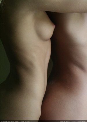 Галерея 3246771